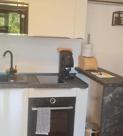 Elena - Studio Apartman Ičići エクステリア 写真