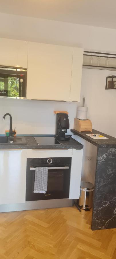 Elena - Studio Apartman Ičići エクステリア 写真