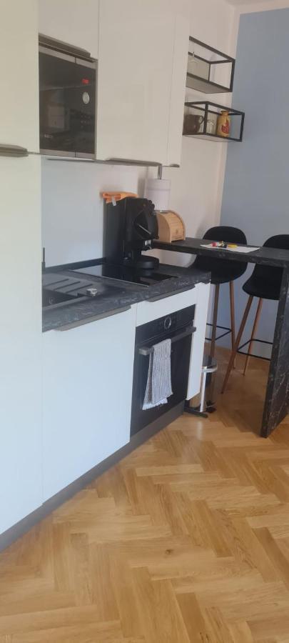Elena - Studio Apartman Ičići エクステリア 写真